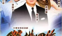 纵横四海 电视剧,传奇特工的生死较量